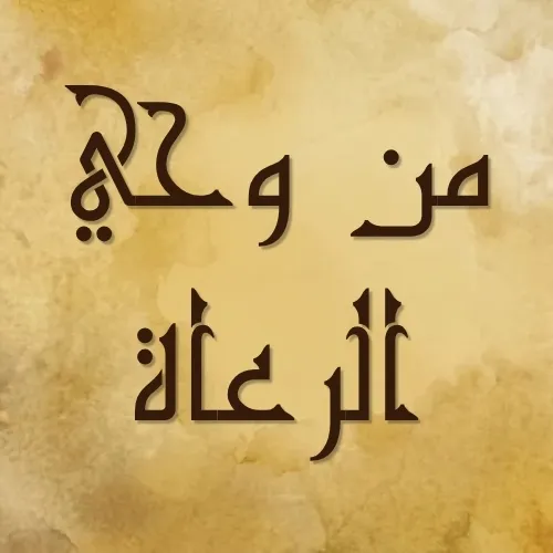 إضافة نص تكميلي قصير 2 result 1
